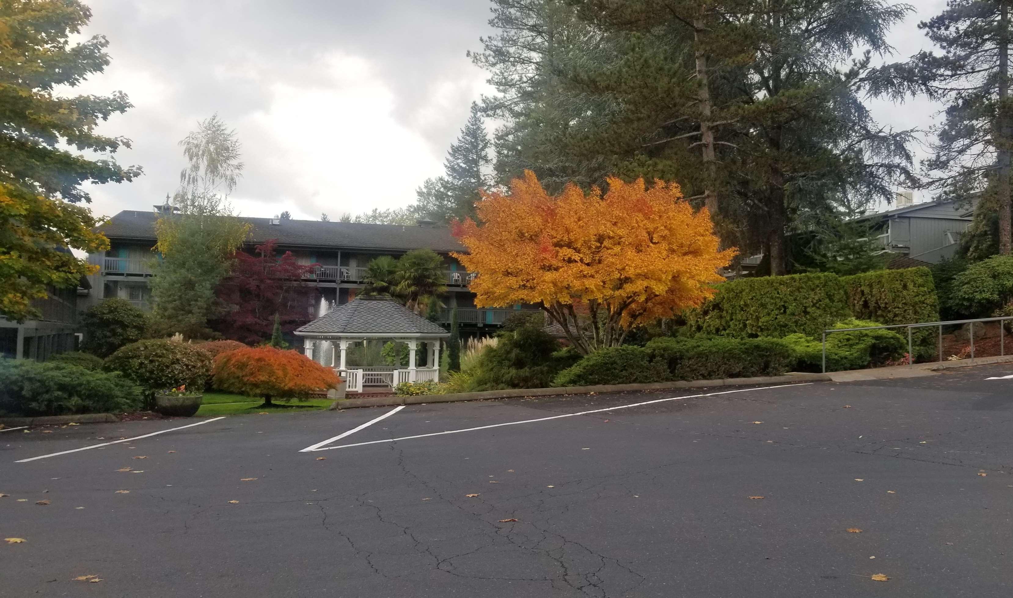 Best Western Portland West Beaverton Bagian luar foto